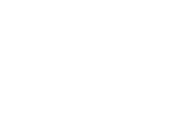 Software Onyx